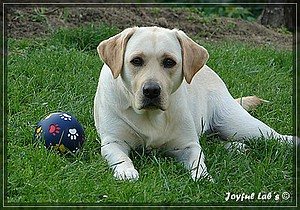 Joyful Labs Amiable Girl "Jule"