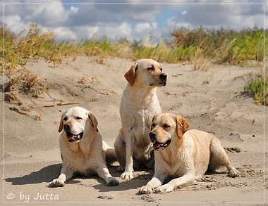 Joyful Lab's Cheeky Girl & Classic Girl