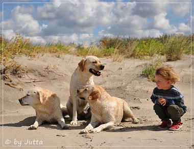 Joyful Lab's Cheeky Girl & Classic Girl