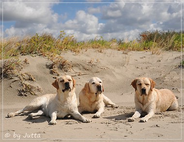 Joyful Lab's Cheeky Girl & Classic Girl