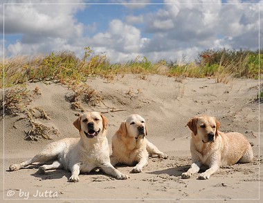 Joyful Lab's Cheeky Girl & Classic Girl