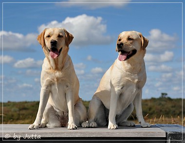 Joyful Lab's Cheeky Girl & Classic Girl