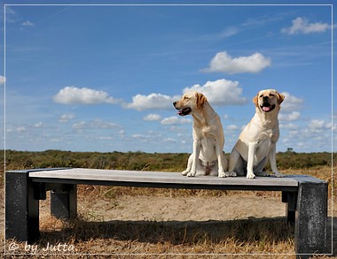 Joyful Lab's Cheeky Girl & Classic Girl