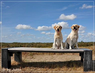 Joyful Lab's Cheeky Girl & Classic Girl