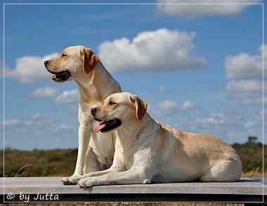 Joyful Lab's Cheeky Girl & Classic Girl