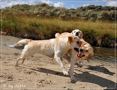 Joyful Lab's Cheeky Girl & Classic Girl