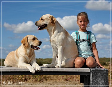 Joyful Lab's Cheeky Girl & Classic Girl