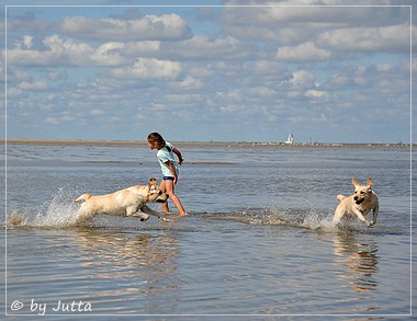 Joyful Lab's Cheeky Girl & Classic Girl