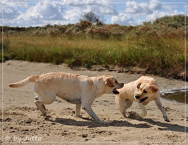 Joyful Lab's Cheeky Girl & Classic Girl