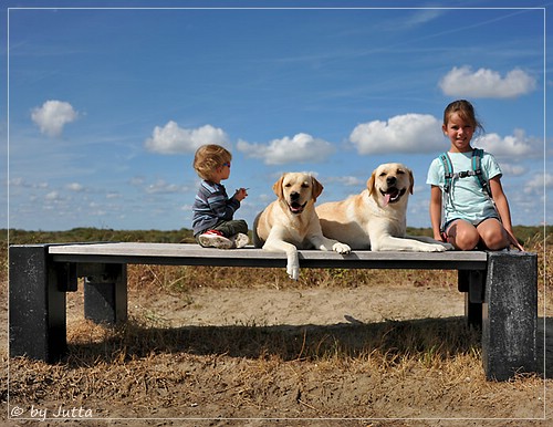 Joyful Lab's Cheeky Girl & Classic Girl