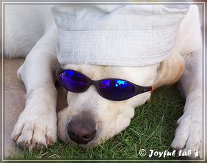 Joyful Labs Absolute Power Boy "Finn"