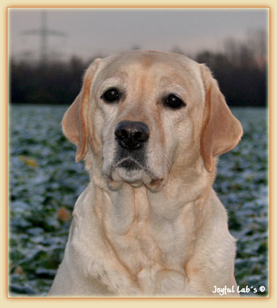 Hanna - Rosefair Joyful Girl