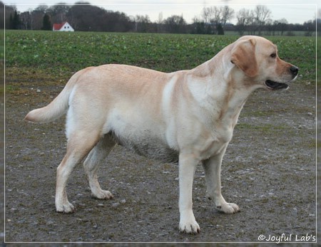 Hanna - Rosefair Joyful Girl