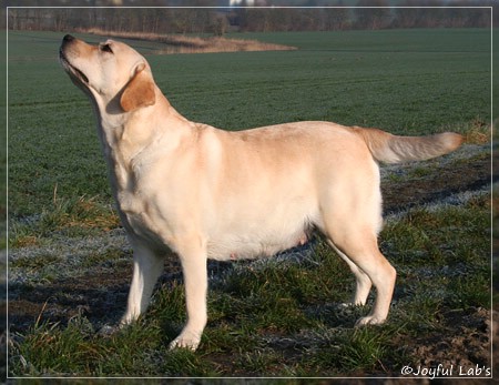 Hanna - Rosefair Joyful Girl