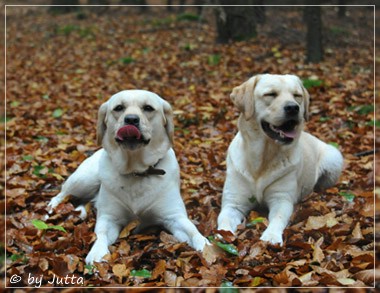 Joyful Lab's Cheeky Girl & Classic Girl