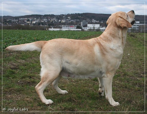 Hanna - Rosefair Joyful Girl