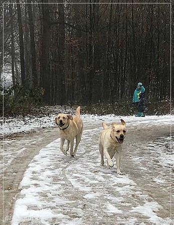 Joyful Lab's Cheeky Girl & Classic Girl