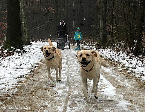 Joyful Lab's Cheeky Girl & Classic Girl