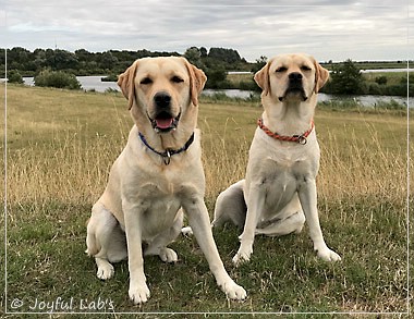 Joyful Lab's Cheeky Girl & Classic Girl