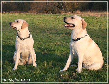 Joyful Lab's Classic Girl & Cuddly Girl