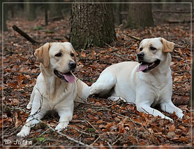 Joyful Lab's Cheeky Girl & Classic Girl