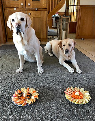 Joyful Lab's Cheeky Girl & Lotte