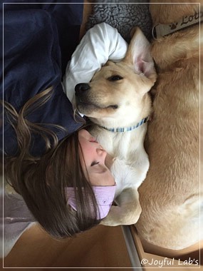 Joyful Lab's Cheeky Girl