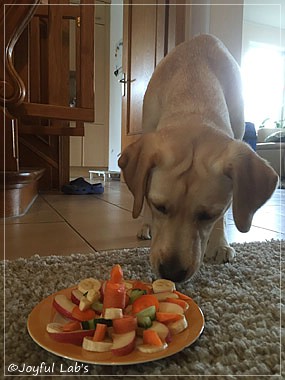 Joyful Lab's Cheeky Girl