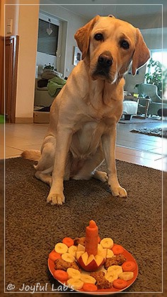 Joyful Lab's Cheeky Girl