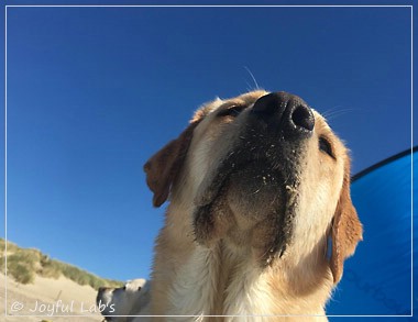 JL_Greta_JL_August_18_3 JL_Greta_JL_August_18_3