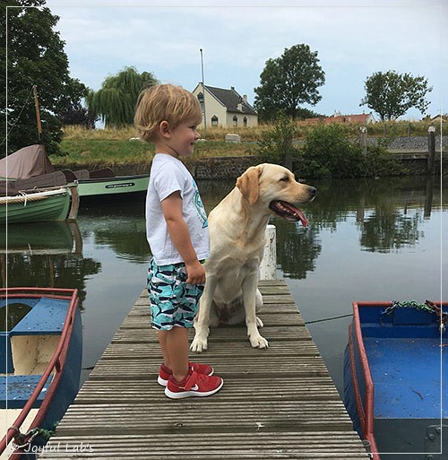 Joyful Lab's Cheeky Girl