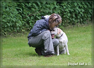 Junghundetraining der Joyful Labs B chen