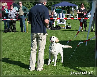 Joyful Lab's Bombastic Boy