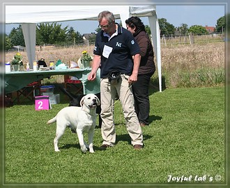 Joyful Lab's Bombastic Boy