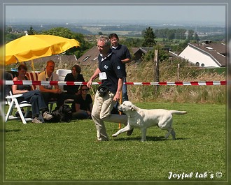 Joyful Lab's Bombastic Boy