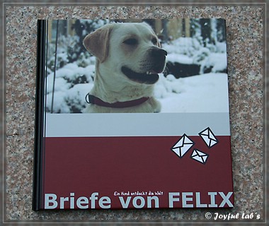 Briefe von Felix - Ein Hund entdeckt die Welt