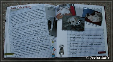 Briefe von Felix - Ein Hund entdeckt die Welt