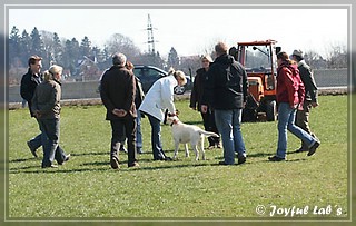 Der Wesenstest der B -chen