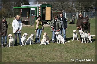 Wesenstest der Joyful Lab's B -chen