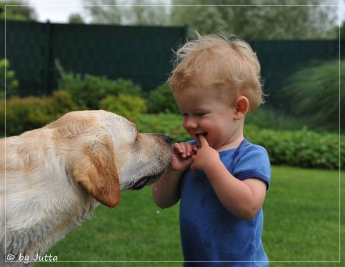 Joyful Lab's Classic Girl mit Linus